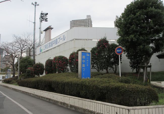 越中島プール クチコミ アクセス 営業時間 門前仲町 フォートラベル