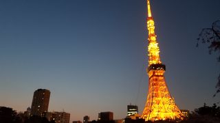 東京屈指の名公園