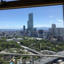 茶臼山を見下ろしハルカスを見上げる