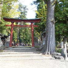 岡太・大瀧神社二の鳥居