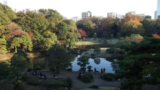 都区内とは思えないほど自然が豊か