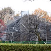 東京たてもの園の前川國男邸は改修工事中で見ることができません(令和元年12月現在）
