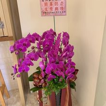 オープンしたばかり みたい