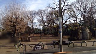 どのへんがねこじゃらしなのかと思ったら