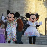 レット ザ マジック ビギン　