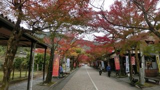 西国三十三所第33番札所で満願結願のお寺です