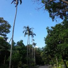 植物園まで5分ほど