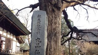 東京都の天然記念物