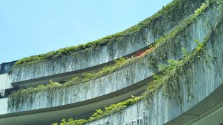 趣向を凝らした限定商品