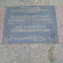 プレート近くでスマートホーンを利用して写真撮影