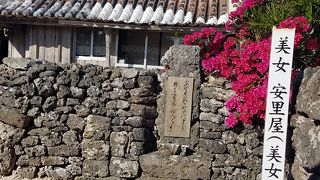 安里屋ゆんたのモデル