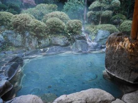 鳴子温泉郷　とどろき旅館 写真