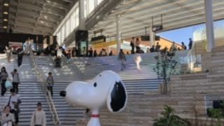 そこまで混んでいない