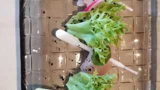 お気に入りフレンチ