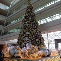 フロント前のクリスマスツリー