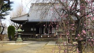 上野から歩いて15分、静寂の世界が広がる。龍が生んだ聖獣も！