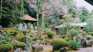 のどかなお寺