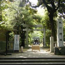 赤坂氷川神社 