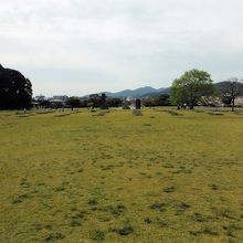 大宰府政庁跡(正殿跡・裏手側)