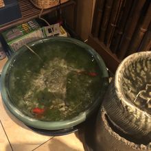 金魚がいます
