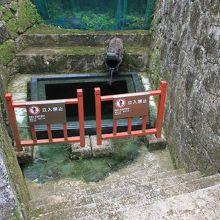 澄んだ水が湧いています