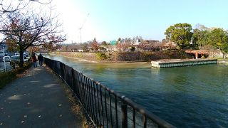 冷泉通りの桜並木に沿って流れるきれいな水の流れ