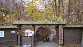 野趣あふれる露天風呂だが再度行こうとは思わなかった。