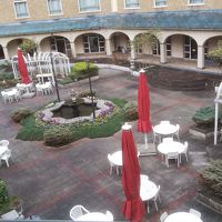 中庭がきれいだった