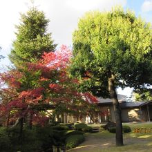 庭園から建物を臨む