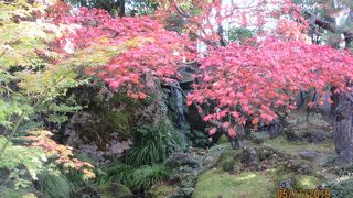 小さいが心洗われる庭園。