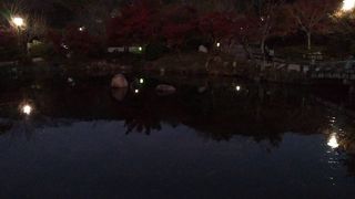 日本庭園の池の周りのモミジやカエデの鮮やかな葉っぱを観賞でき、大感動