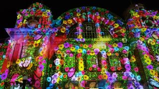 今年も綺麗でした