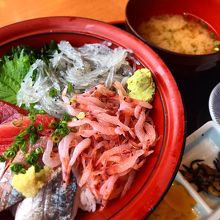 桜海老としらすがメインの海鮮丼