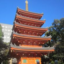 青空をバックに朱色がとても映えていました