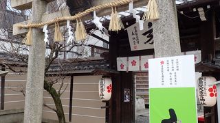 色々なお願い事をしちゃいましたよん