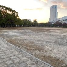 中央公園と高層ビルの様子