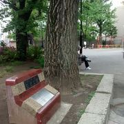 昭和時代だと思いますが、レトロ感あふれる小さな公園