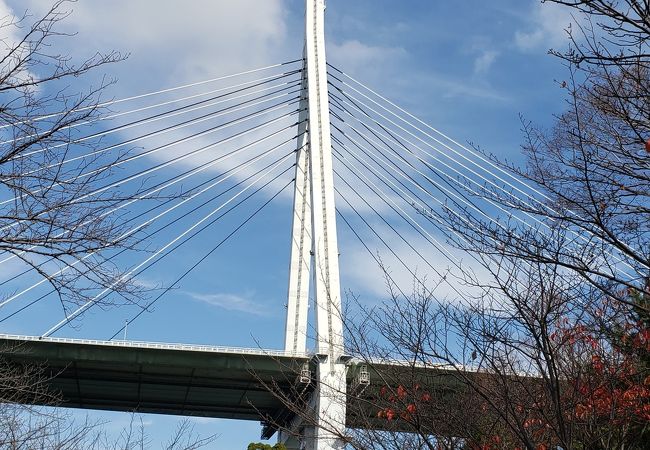 天保山大橋 クチコミ アクセス 営業時間 大阪ベイエリア フォートラベル