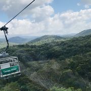 熱帯雨林を上から見る貴重な体験