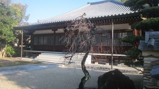 メイン道路側の山門と本堂とが離れているので御注意下さい