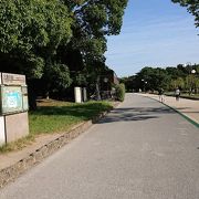 都市公園の中にあるスタバ