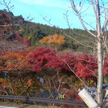 写真は談山神社の駐車場から撮ったもの