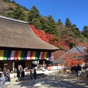 11月末でもきれいな紅葉