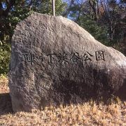 歩きながら自然を勉強できる公園です。