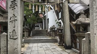 行ってよかった