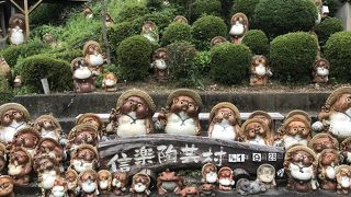 たぬきだらけで癒される