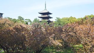 東寺と並ぶ塔のシンボル