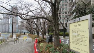 眺めが良いのでノンビル散策などが出来るところです