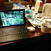 バスタブ無し、アメニティ無し、大型TVあり