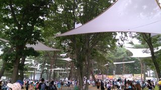 広大な敷地で行われるフェス